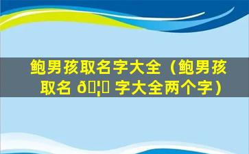 鲍男孩取名字大全（鲍男孩取名 🦍 字大全两个字）